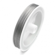 Filo con rivestimento 100 metri trasparente-argento