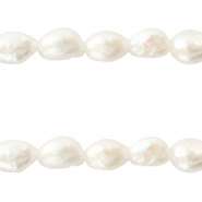 BQ Perle di acqua dolce pepita ovale 7x5-6mm bianco naturale