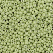 Rocailles Miyuki 11/0 Duracoat opaque fennel green 11-4473