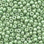 Rocailles Miyuki 8/0 Duracoat galvanized dark mint green 8-4214