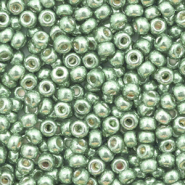 Rocailles Miyuki 8/0 Duracoat galvanized sea green 8-4215