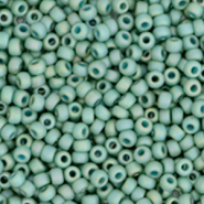 Rocailles Miyuki 11/0 Opaque glazed frosted rainbow celadon green 11-4701
