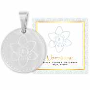 Mix & Match ciondoli in acciaio inossidabile 15 mm Birth flower December-Narcissus argento