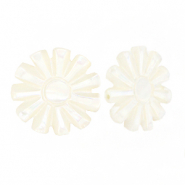Perline di conchiglia sole bianco (colore naturale)