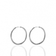 Orecchini in acciaio inossidabile 14mm a cerchio argento