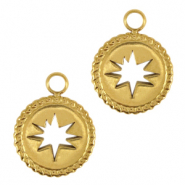 Ciondoli in acciaio inossidabile stella oro