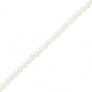Perline di conchiglia tonda bianco