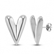 Orecchini in acciaio inossidabile a cuore argento