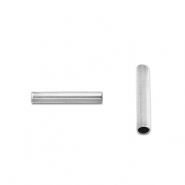 Perline in acciaio inossidabile tubo 5mm argento