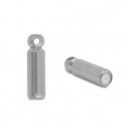 Componenti in acciaio inossidabile terminale per broches / pins argento