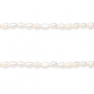BQ Perle di acqua dolce pepita 6x4mm bianco naturale