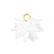 Ciondoli con Zircone fiore trasparente