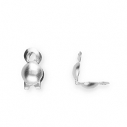 Componenti in acciaio inossidabile coprinodi 2mm argento