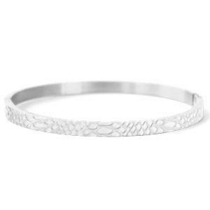 Bracciali in acciaio inossidabile con stampa serpente argento