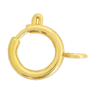 Componenti in acciaio inossidabile chiusura 14x17mm oro