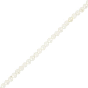 Perline di conchiglia tonda bianco