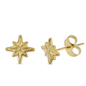 Orecchini in acciaio inossidabile stella oro