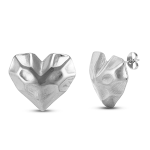 Orecchini in acciaio inossidabile a cuore argento