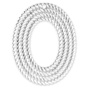 Ciondoli in acciaio inossidabile ovale argento
