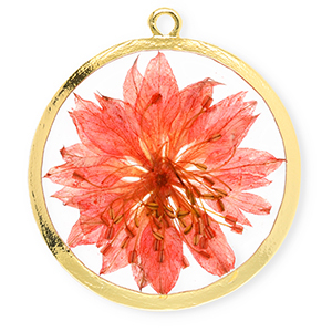 Ciondoli con fiore secchi 34mm oro-rosso corallo vivo