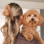 Tempo di ispirazione con i fermagli per capelli Teddy