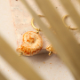 Libera la tua creativit&agrave; con perline di ceramica greca DQ a conchiglia